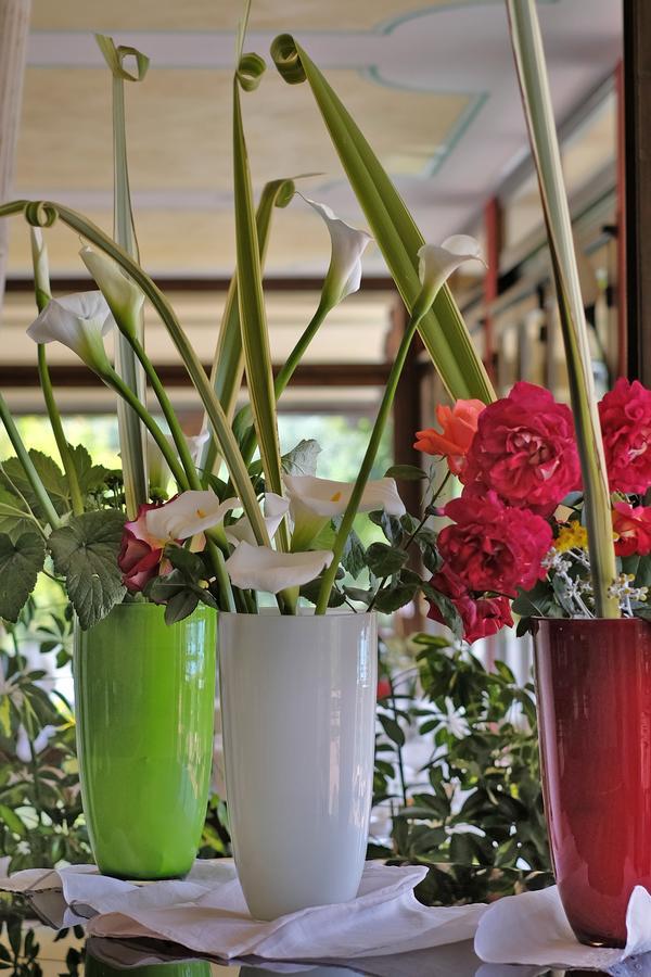 Madrina Lovely And Dynamic Hotel Garda (Verona)